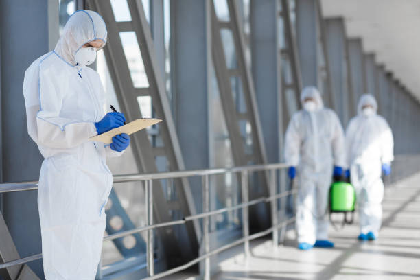 Trusted North Cape May, NJ Mold Removal Experts