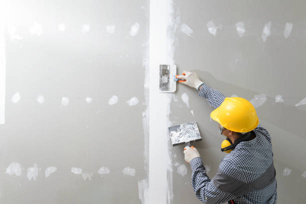 Best Dehumidification Services  in North Cape May, NJ
