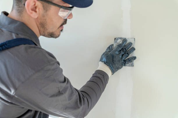 Mold Odor Removal Services in North Cape May, NJ