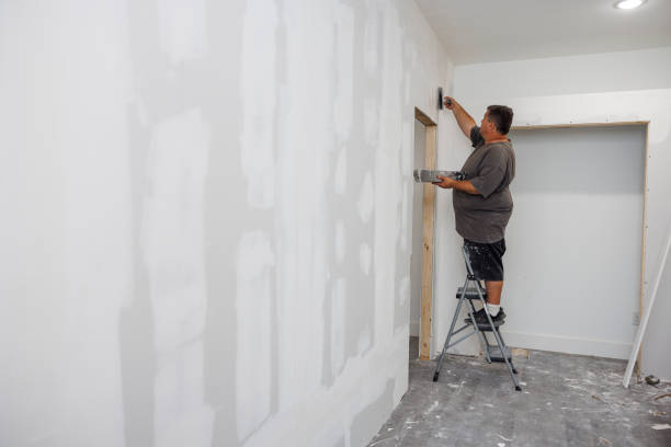 Best Water Damage & Mold Remediation  in North Cape May, NJ