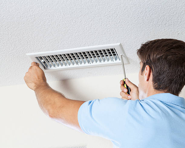 Best Emergency Mold Remediation  in North Cape May, NJ