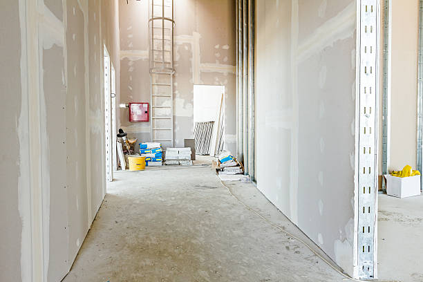 Best Asbestos and Lead Testing During Mold Inspection  in North Cape May, NJ