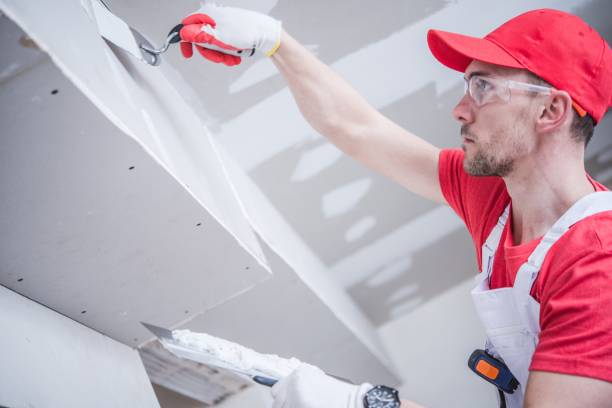 Best Post-Construction Mold Inspection  in North Cape May, NJ